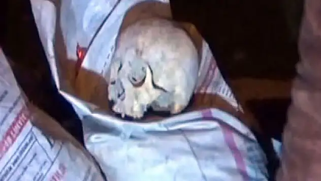 Çöplükten öyle bir şey çıktı ki!