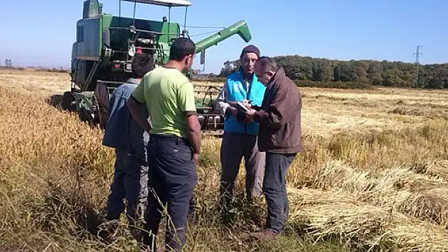 Çeltik ve Soya Hasat Sonu Raporu