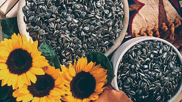 Ay çekirdeği günlük selenyum ihtiyacımızı karşılıyor