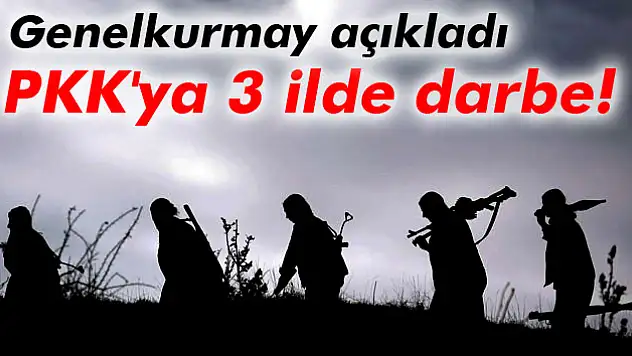 PKK'ya 3 ilde operasyon!