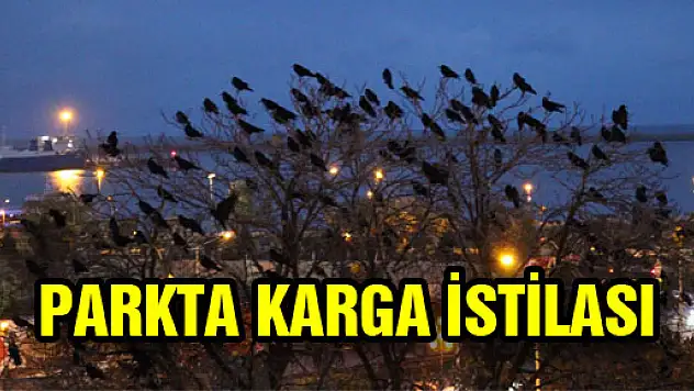 PARKTA KARGA İSTİLASI