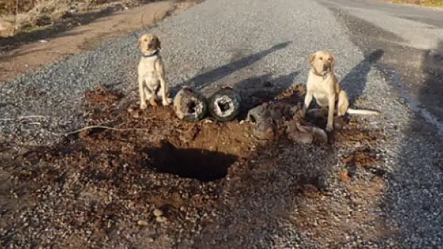 PKK'ya ağır darbe!