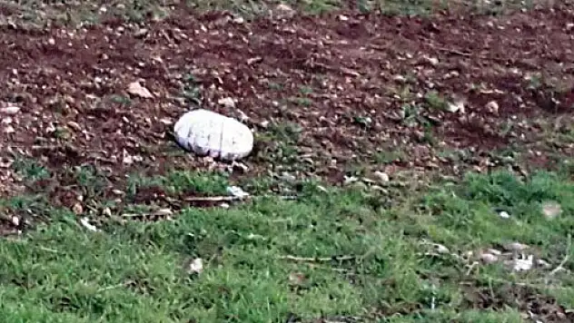 Askerin dikkati faciayı önledi