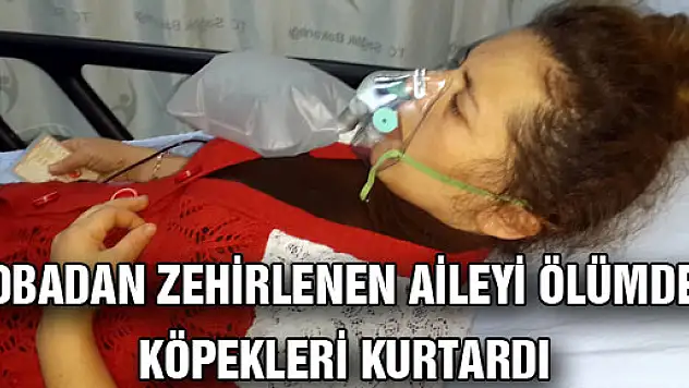 SOBADAN ZEHİRLENEN AİLEYİ ÖLÜMDEN KÖPEKLERİ KURTARDI