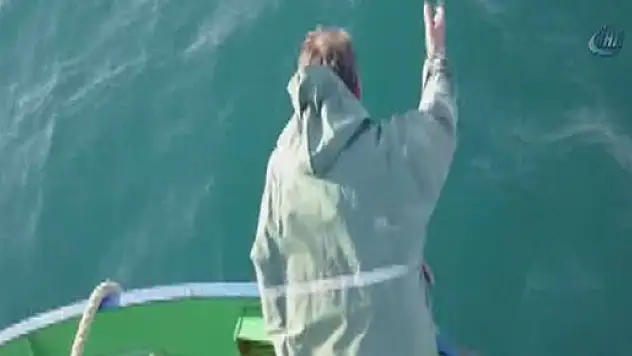 Yunuslar balıkçı teknesi ile yarıştı