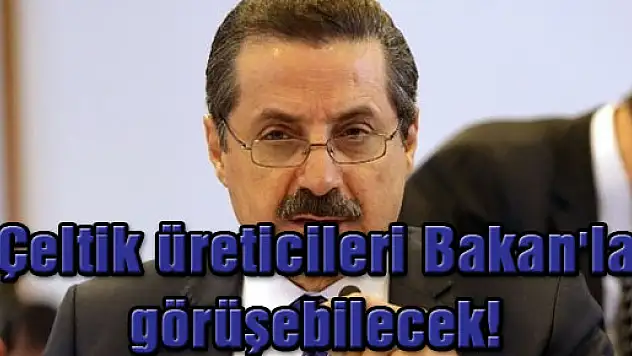Çeltik üreticileri Bakan'la görüşebilecek!