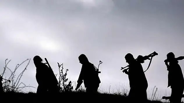 Siirt'te terör örgütü PKK'ya darbe