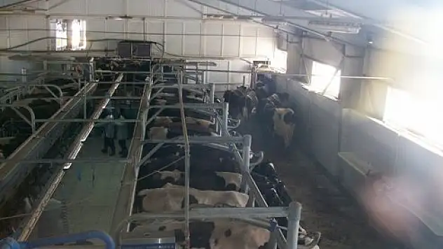 Gümüşhane Kelkit Gezisi