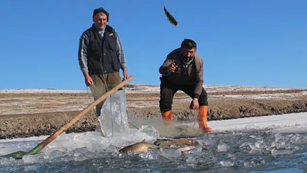 Çıldır Gölü'nde ilk ağlar çekildi