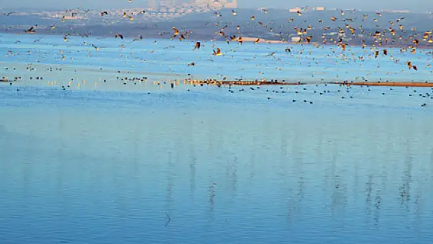 Kurak kış barajların doluluk oranını düşürdü