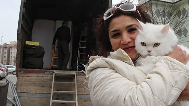 Maviş'in zaferi tüm kedilere emsal oldu