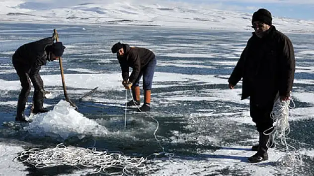 Eksi 20 derecede buzdan ekmek çıkarıyorlar!