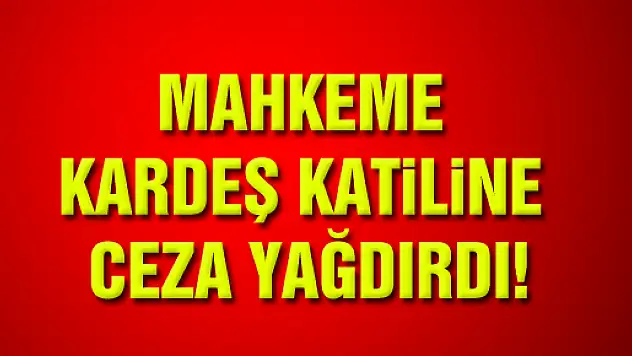 MAHKEME KARDEŞ KATİLİNE CEZA YAĞDIRDI