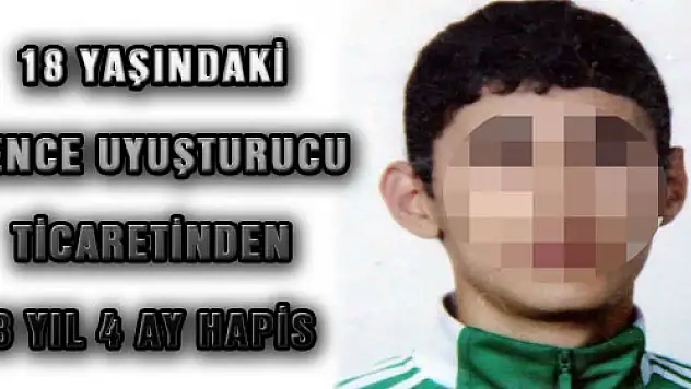 18 YAŞINDAKİ GENCE UYUŞTURUCU TİCARETİNDEN 8 YIL 4 AY HAPİS