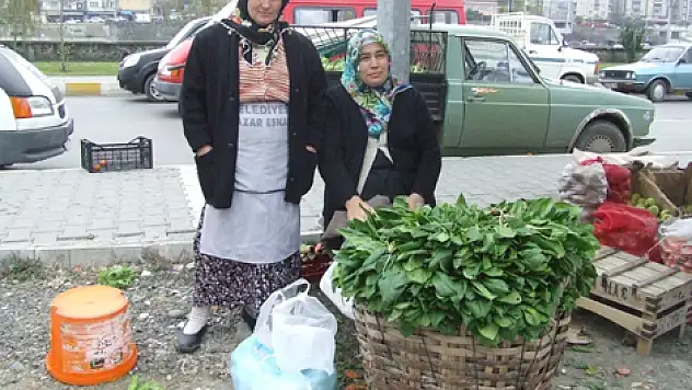 Pazar' a şimdi de Köylü tepkili