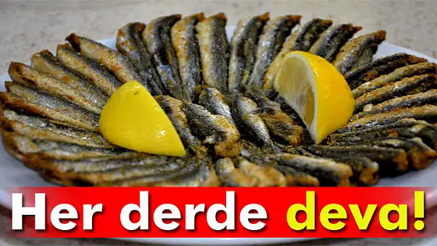 Hamsi kalp krizine karşı koruyor