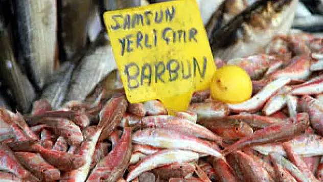 BALIK FİYATLARI TAVAN YAPTI