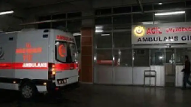 Niğde'de 'domuz gribi' şüphesi: 2 ölü