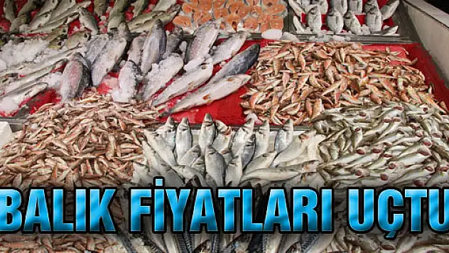 BALIK FİYATLARI UÇTU