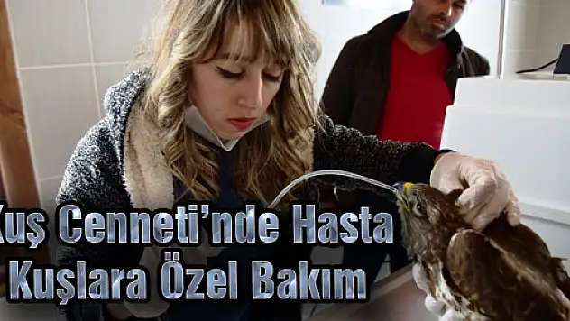 Kuş Cenneti'nde Hasta Kuşlara Özel Bakım