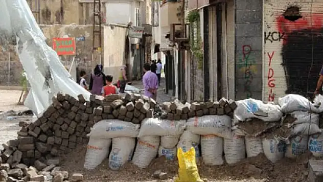 Sur'da bozguna uğrayan terör örgütü vatandaşların evlerini yakıyor