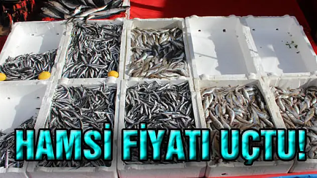 HAMSİ FİYATI UÇTU!