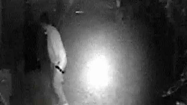 Hırsızın rahatlığı pes dedirtti