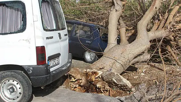 Hortum sonrası yaralar sarılıyor