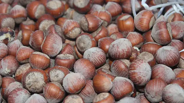 ÜRETİCİ FİYATLARDAN DERTLİ