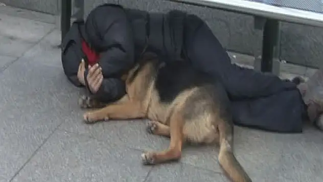Soğuk havada sokakta kalmakta inat etti!