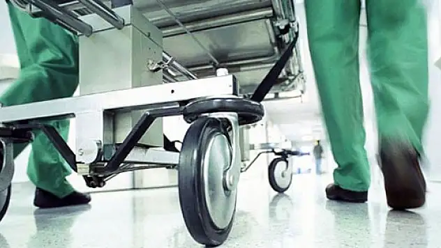 Kestiği ağacın altında kalarak can verdi