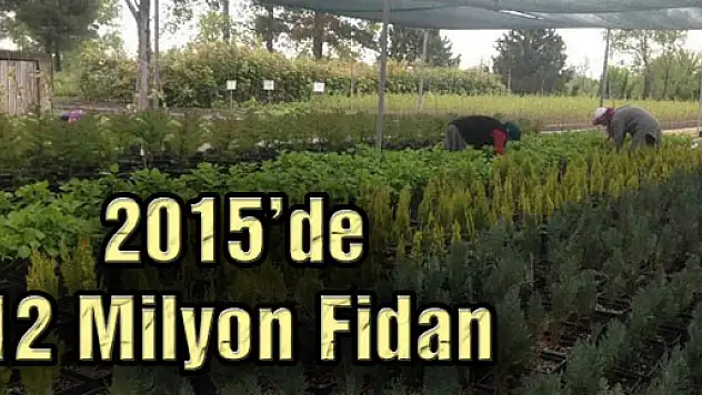 2015'de 12 Milyon Fidan