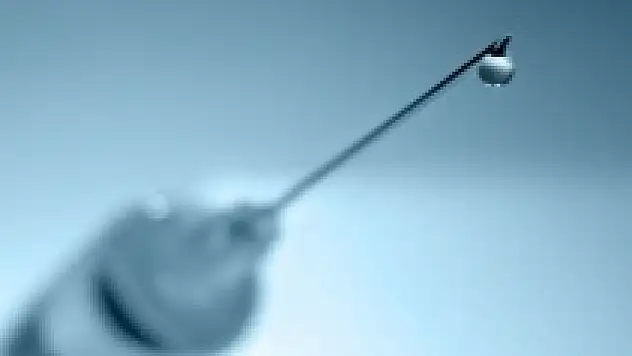 Yaşlı kadın domuz gribinden öldü