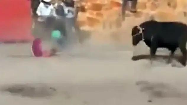 Asabi boğa önüne çıkanı yere serdi