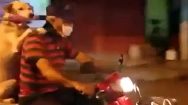 Gülümseten iş bölümü