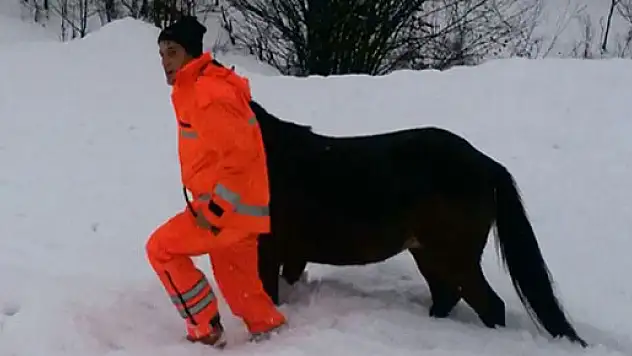 4 gün karda mahsur kalan atı iftaiye kurtardı