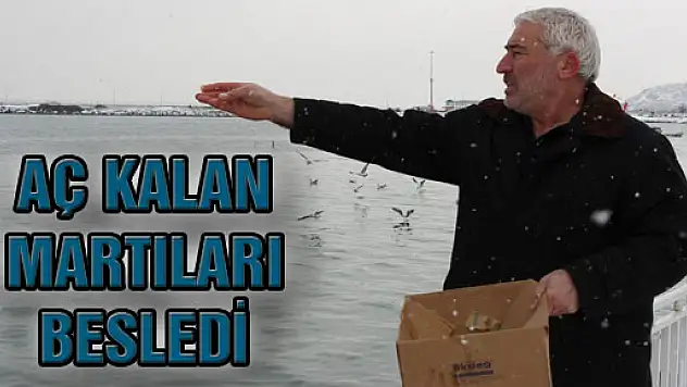Aç Kalan Martıları Besledi