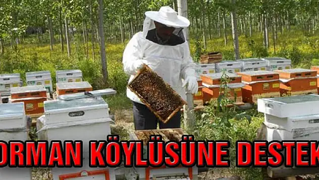 Orman Köylüsüne Destek