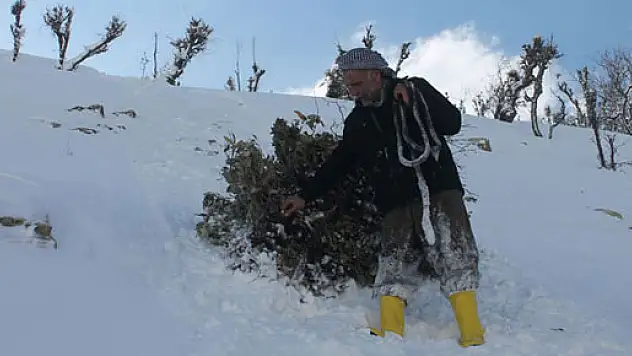 Sınırın sıfır noktasında yaşam mücadelesi