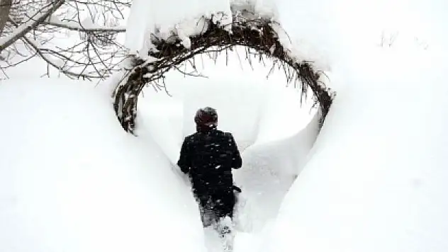 Bitlis'te evler kayboldu