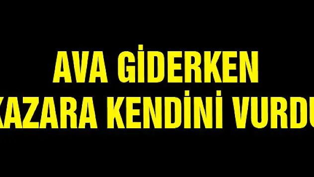  AVA GİDERKEN KAZARA KENDİNİ VURDU