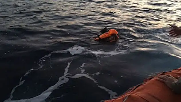 Denizden 13 ayda 336 ceset çıktı