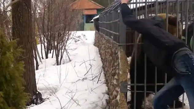 Ayıyla şaka elinden etti!