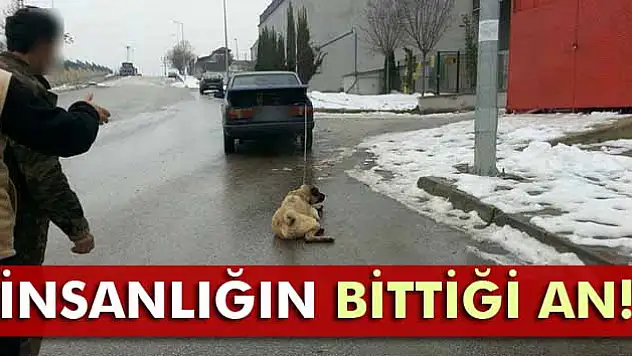 Otomobilinin arkasına bağladığı köpeğini sürükledi
