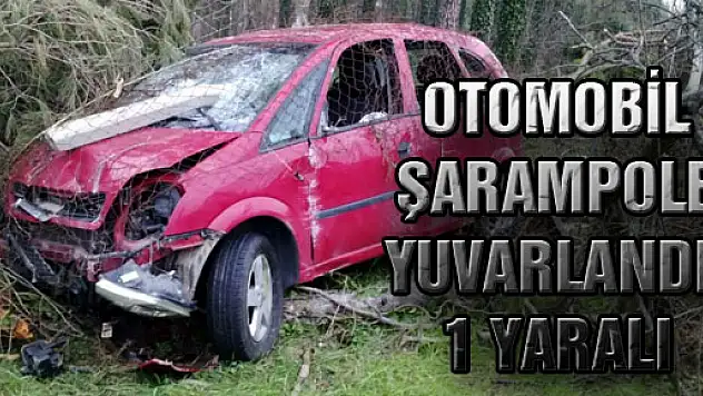 Otomobil Şarampole Yuvarlandı: 1 Yaralı