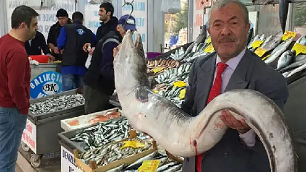 2 metrelik yılan balığı