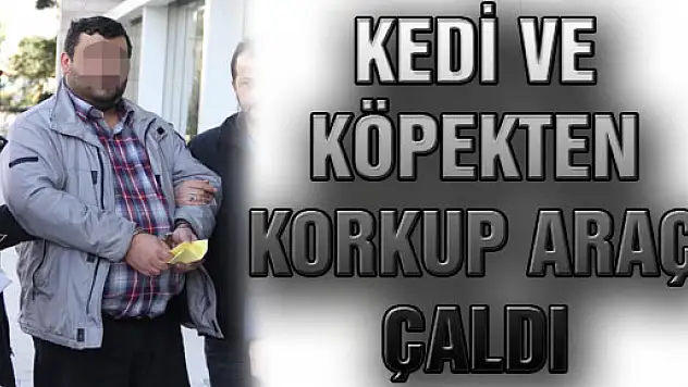 Kedi Ve Köpekten Korkup Araç Çaldı