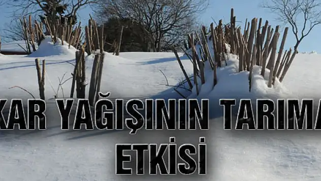 Kar Yağışının Tarıma Etkisi