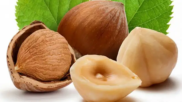 Üreticiye 'fındığı satmayın' çağrısı