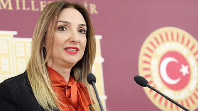 CHP'li Nazlıaka'dan 'ihraç' açıklaması
